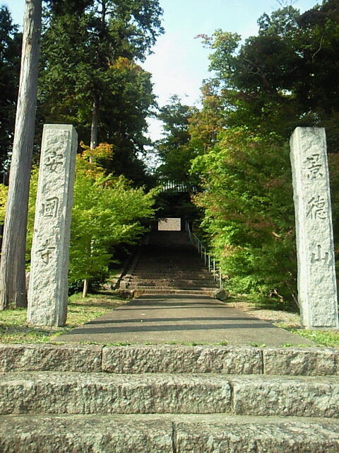 SBCA0029