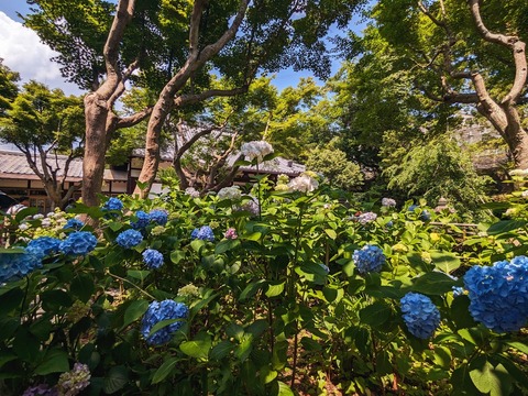 05.本堂前9