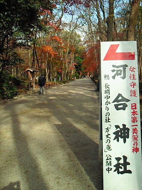 SBCA0015