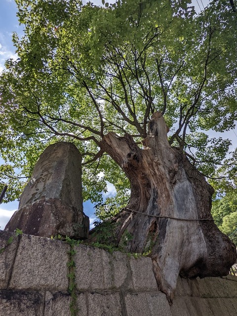 五宮神社4