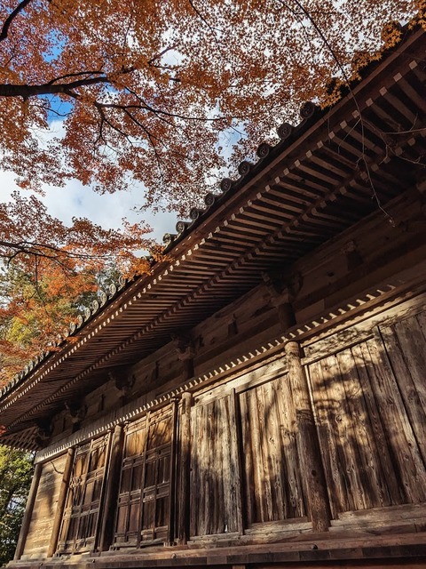22.本堂5
