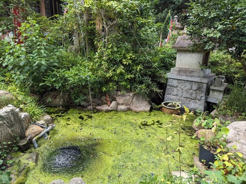 池と一筋の瀧