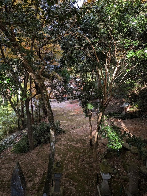 28.多宝塔の北の道