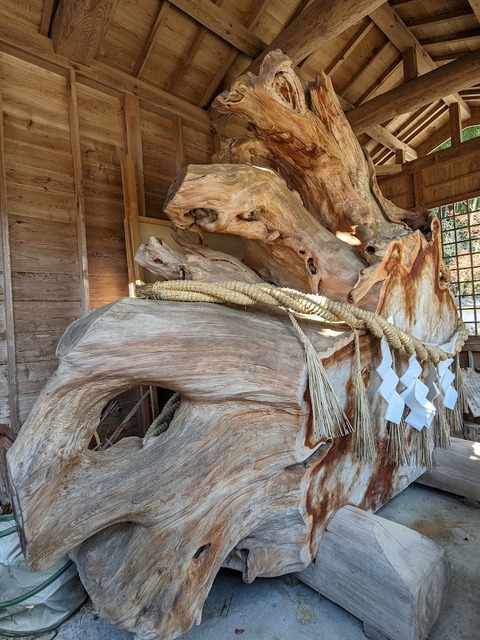 24.御神木の根2