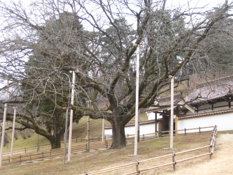 画像 193