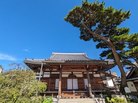 本堂と 月見の松