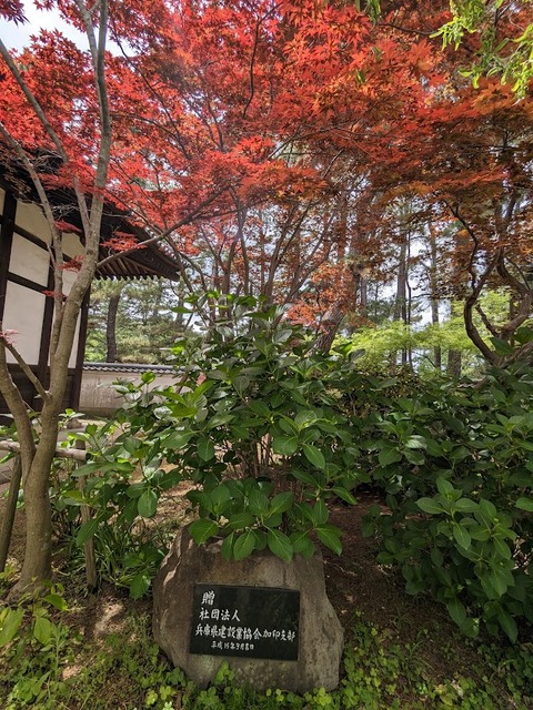 贈
