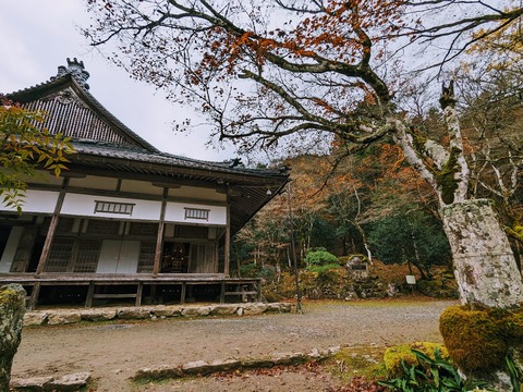 31.方丈と天目楓