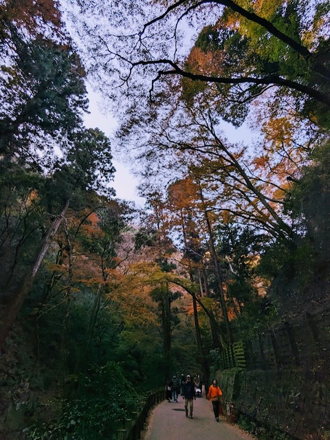 04.瀧道4