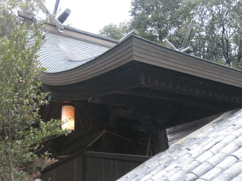 画像 046