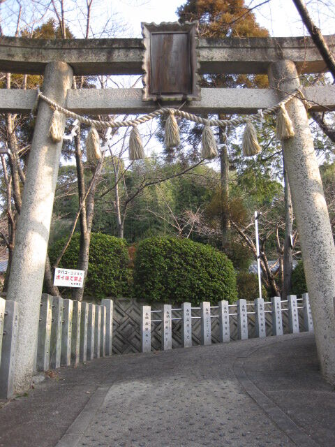羽曳野・八尾1.17-18 071