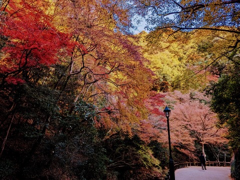 26.帰路
