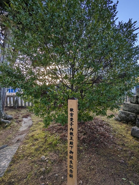 愛子様誕生記念植樹