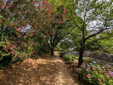 16.左岸3