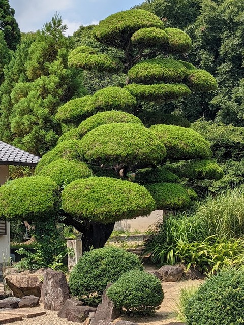 安楽寺庭園