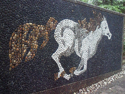 SBCA0040
