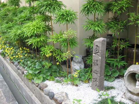 画像 241
