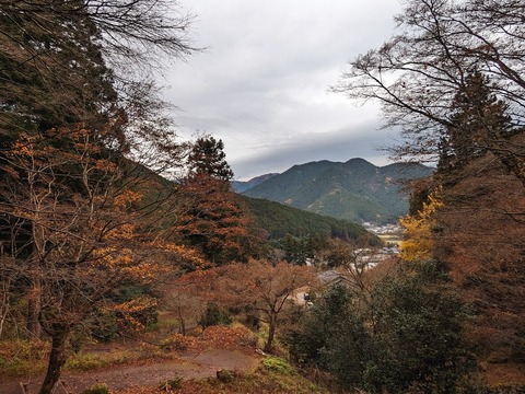 39.三重塔7