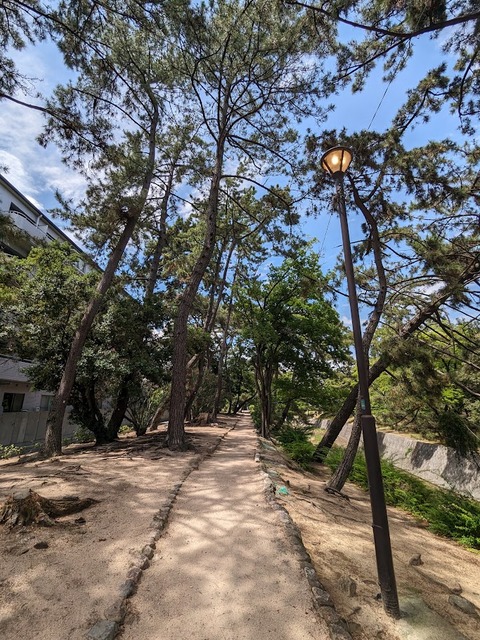 01.夙川3