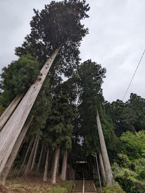 一の宮神社2