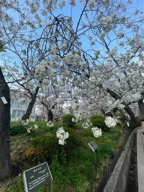 03.越水浄水場2