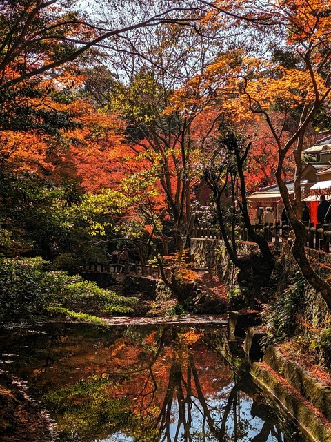 16.箕面川と紅葉2