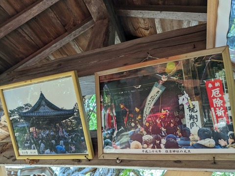 額9