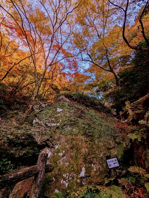06.ライオン岩