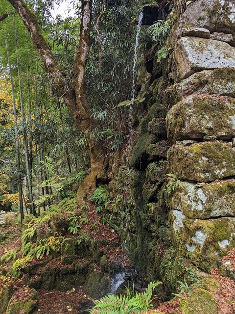 28.一筋の滝