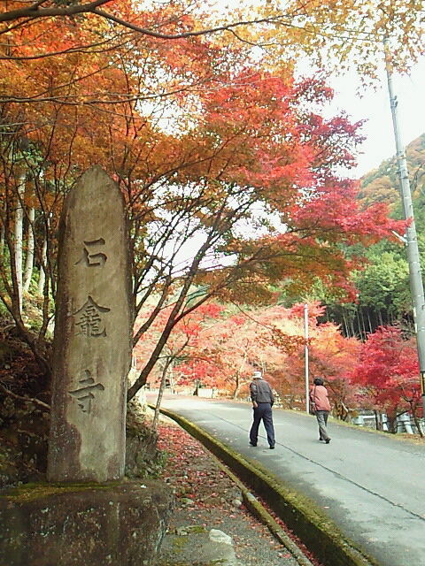 SBCA0037