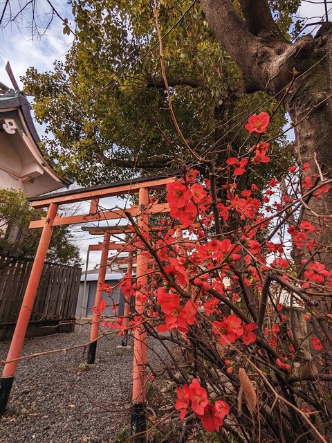 11.岩船稲荷大明神3