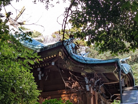 本殿の側面