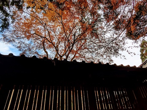 18.回廊と紅葉