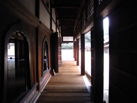 画像 166