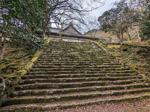 25.本殿へ