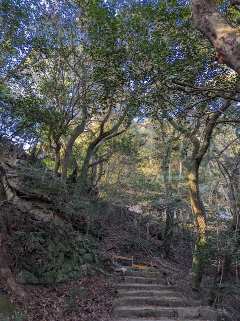 奥の院参道5