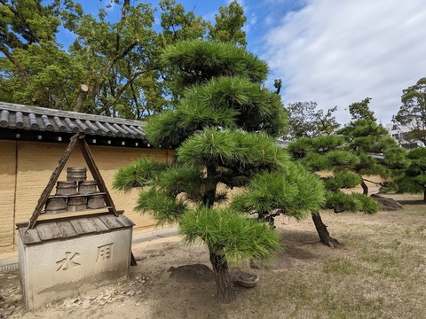 南門の右手