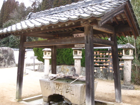 画像 194