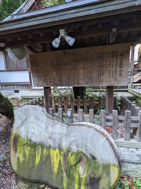 巨大な切り株