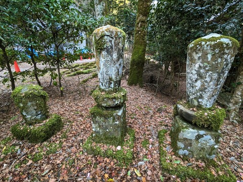 21.苔むした石5