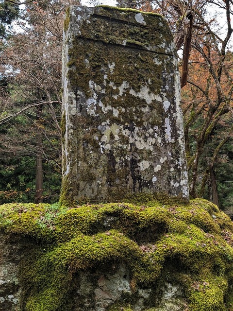 21.苔むした石6