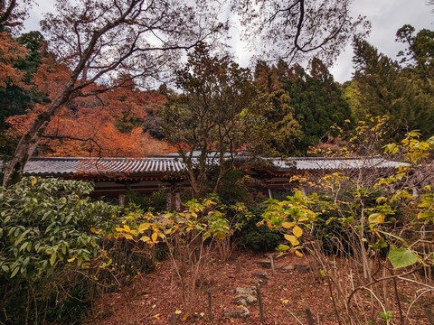 18.回廊と紅葉4