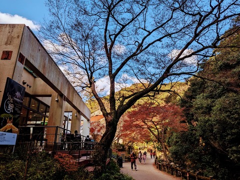 19.昆虫館
