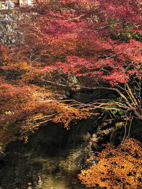 04.箕面川床4