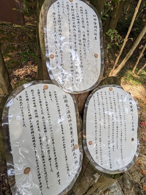 金時、頼光の解説