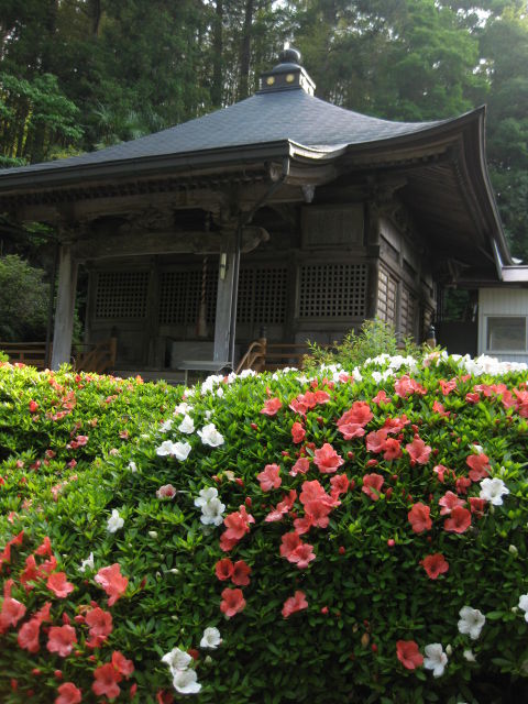 画像 285
