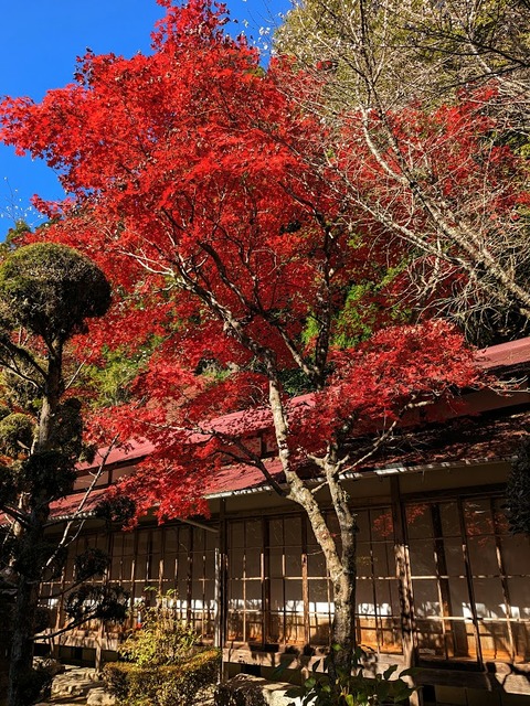 09.本坊3