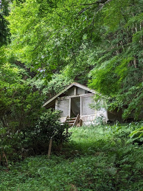 左手の山際に