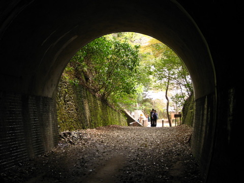画像 007