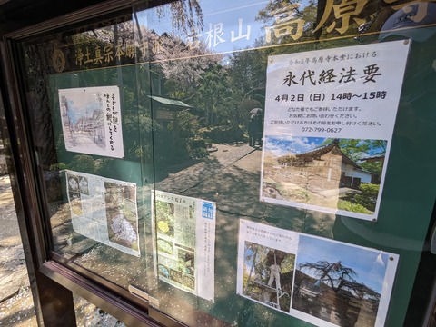 掲示板